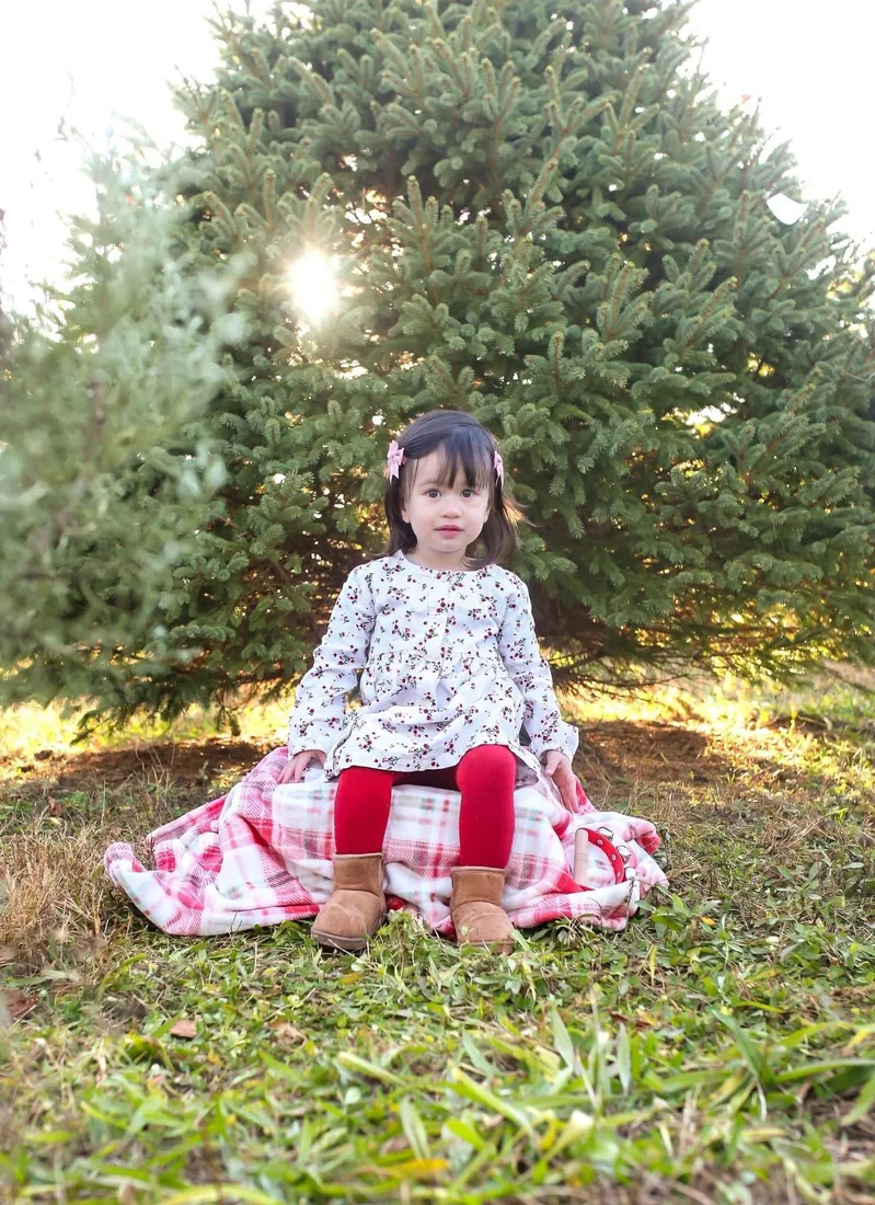 A child wrapped in a plaid blanket among sunlit Christmas trees, photographed by Lauren